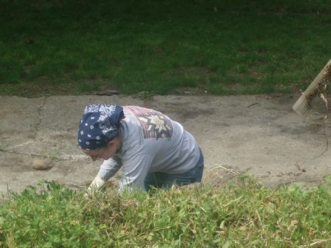 Brook Lanscaping